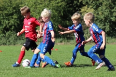 G-Jugend2019092103 G-Jugend2019092103