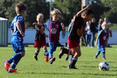 G-Jugend2019092114 G-Jugend2019092114