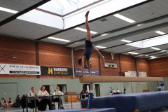 Geraetturnen_202211190043 Geraetturnen_202211190043