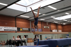 Geraetturnen_202211190044 Geraetturnen_202211190044