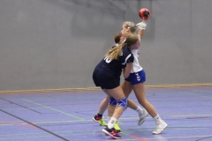 Handball-20191103002