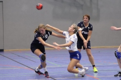 Handball-20191103003