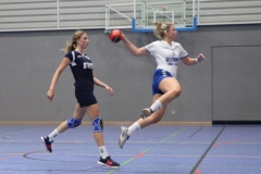 Handball-20191103006 Handball-20191103006