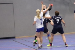 Handball-20191103008 Handball-20191103008