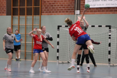 Handball-D20211113001