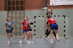 Handball-D20211113002