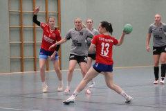 Handball-D20211113005