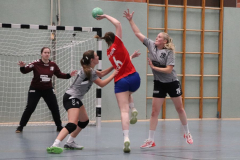 Handball-D20211113006