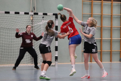 Handball-D20211113007