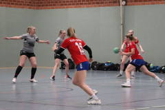 Handball-D20211113010