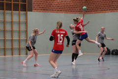 Handball-D20211113011