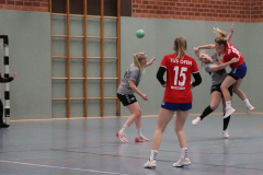 Handball-D20211113012