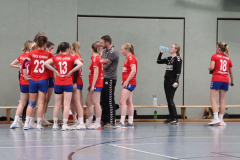 Handball-D20211113014
