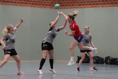 Handball-D20211113015