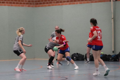 Handball-D20211113017