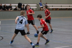 Handball-E-Jug.008 Handball-E-Jug.008