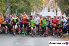 herbstlauf-2018003