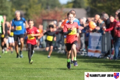 herbstlauf-2018045
