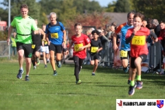 herbstlauf-2018046