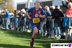 herbstlauf-2018051