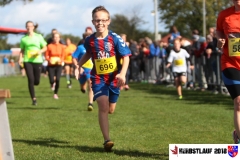 herbstlauf-2018061