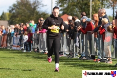 herbstlauf-2018073