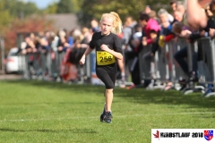 herbstlauf-2018074