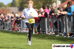 herbstlauf-2018076