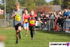 herbstlauf-2018078