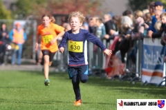 herbstlauf-2018079