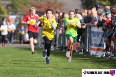 herbstlauf-2018080