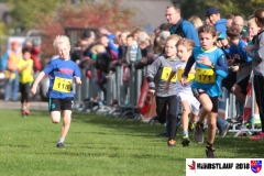 herbstlauf-2018082