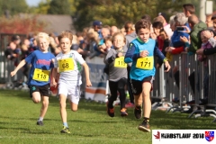 herbstlauf-2018083