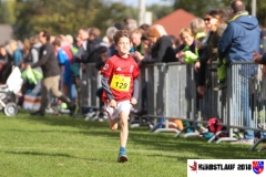 herbstlauf-2018085