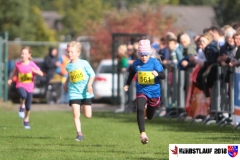 herbstlauf-2018086