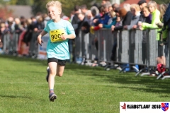 herbstlauf-2018087