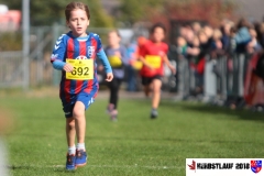 herbstlauf-2018089