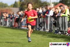 herbstlauf-2018090