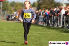 herbstlauf-2018091