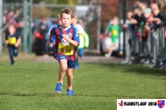 herbstlauf-2018094