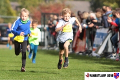 herbstlauf-2018095