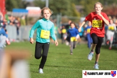 herbstlauf-2018097