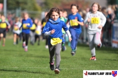 herbstlauf-2018098