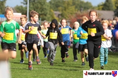 herbstlauf-2018100