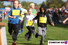 herbstlauf-2018101