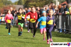herbstlauf-2018102