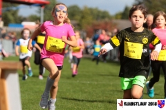 herbstlauf-2018103