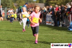 herbstlauf-2018104