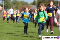 herbstlauf-2018105