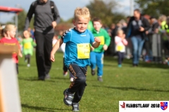 herbstlauf-2018109